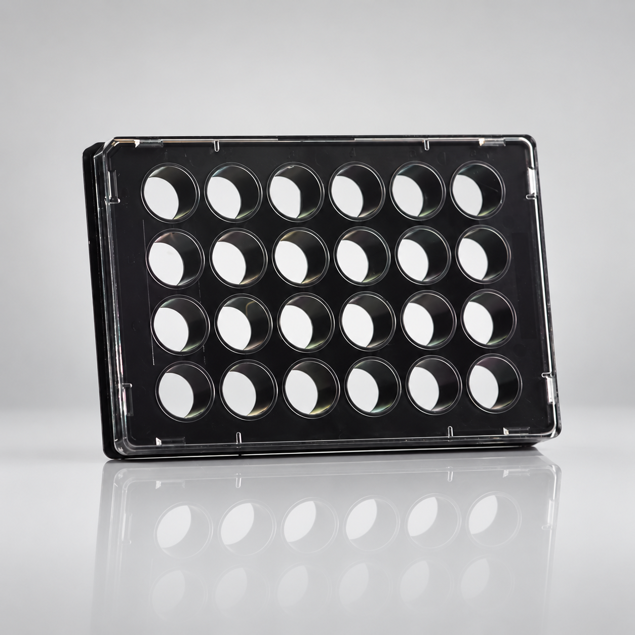 Micro Plates