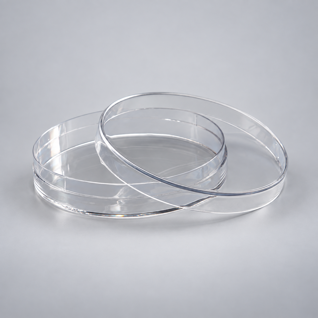 PETRI DISH (Culture)